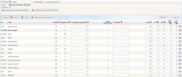 Configurare pagina - Campuri.png