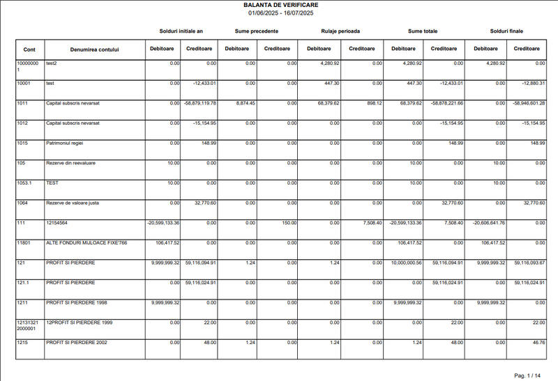 File:Docs - Balanta sintetica analitica cu linii de business.png