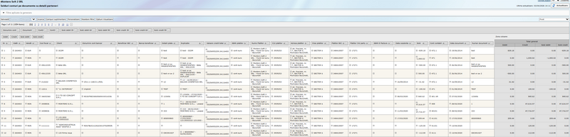 Graph - Solduri conturi pe documente cu detalii parteneri.png