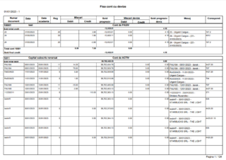 File:Fisa de cont cu devize cu data scadenta.png - docs