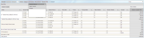 Vanzari-Pivot-Facturi emise.png